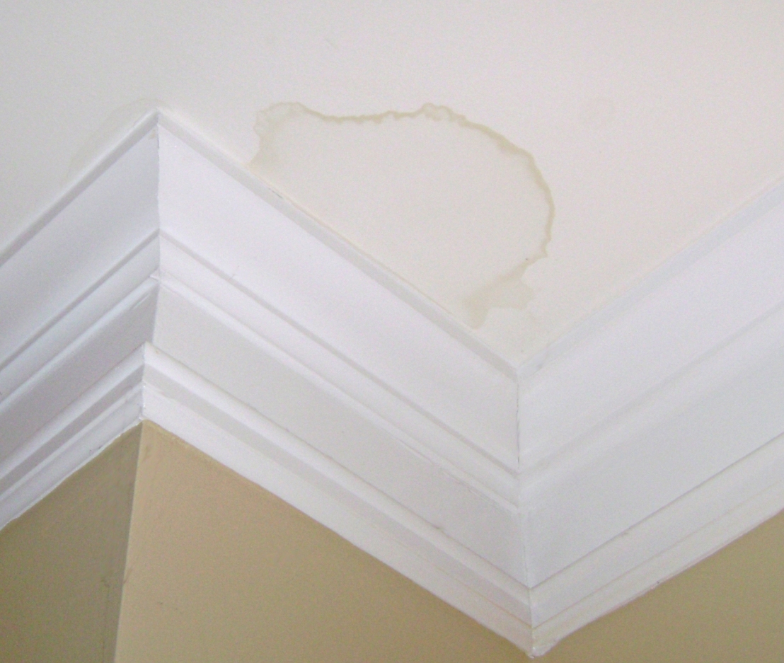 5 Easy Facts About Water Damage And Roofing Of Cedar Park Explained